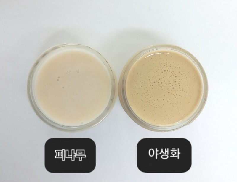 솔향강릉벌꿀,솔향강릉벌꿀 피나무크림꿀 천연벌꿀 100%[원산지:국산(강원도 강릉시)]